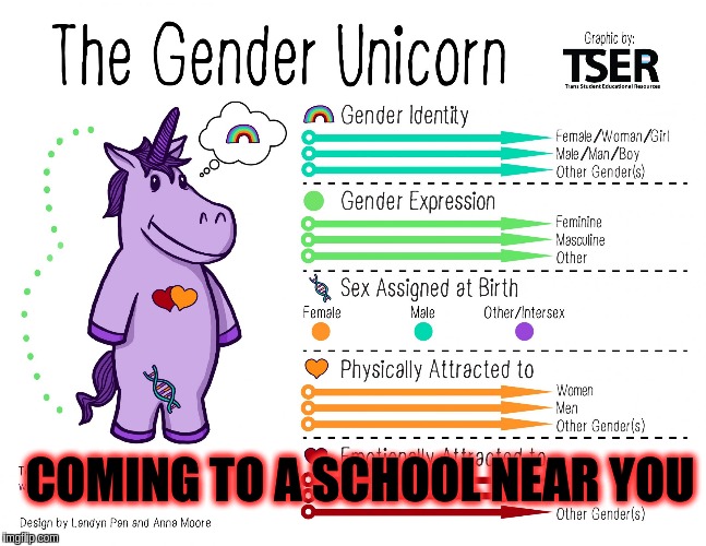 Gender unicorn  | COMING TO A SCHOOL NEAR YOU | image tagged in gender unicorn | made w/ Imgflip meme maker