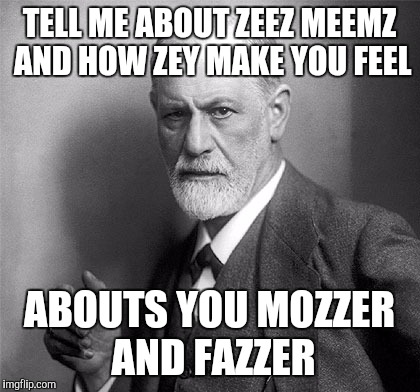 TELL ME ABOUT ZEEZ MEEMZ AND HOW ZEY MAKE YOU FEEL ABOUTS YOU MOZZER AND FAZZER | made w/ Imgflip meme maker