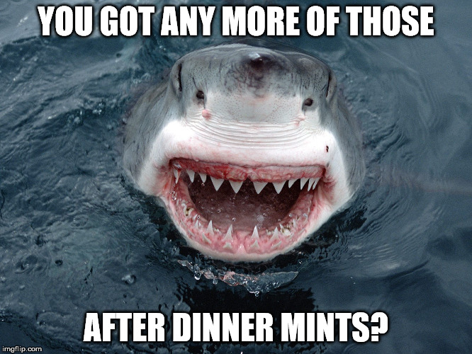 YOU GOT ANY MORE OF THOSE AFTER DINNER MINTS? | made w/ Imgflip meme maker