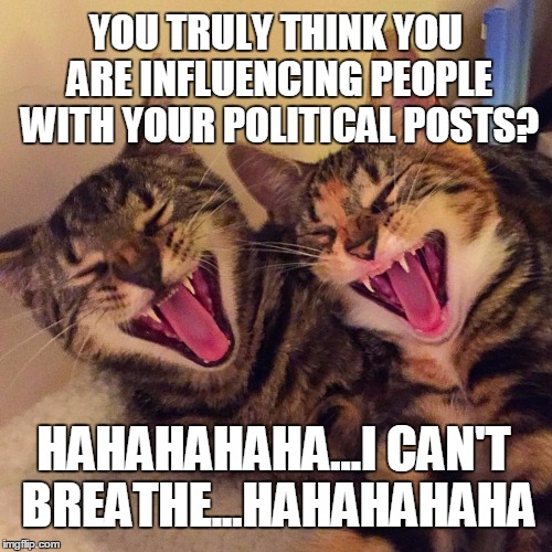 YOU ACTUALLY TAKE YOUR POLITICAL MEMES SERIOUSLY? | YOU TRULY THINK YOU ARE INFLUENCING PEOPLE WITH YOUR POLITICAL POSTS? HAHAHAHAHA...I CAN'T BREATHE...HAHAHAHAHA | image tagged in cats smiling,election 2016,trump 2016,hillary clinton 2016 | made w/ Imgflip meme maker
