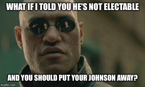 Matrix Morpheus Meme | WHAT IF I TOLD YOU HE'S NOT ELECTABLE AND YOU SHOULD PUT YOUR JOHNSON AWAY? | image tagged in memes,matrix morpheus | made w/ Imgflip meme maker