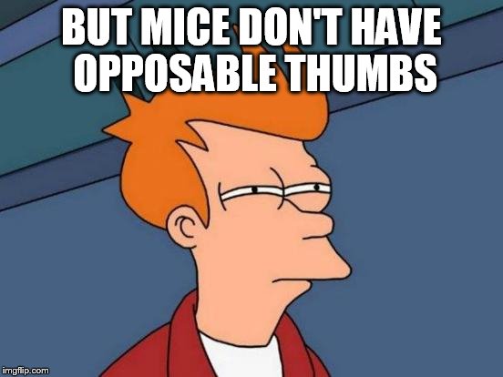 Futurama Fry Meme | BUT MICE DON'T HAVE OPPOSABLE THUMBS | image tagged in memes,futurama fry | made w/ Imgflip meme maker