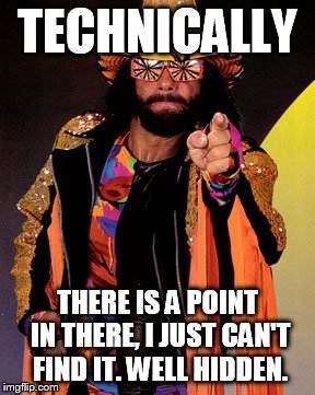 TECHNICALLY THERE IS A POINT IN THERE, I JUST CAN'T FIND IT. WELL HIDDEN. | image tagged in macho man randy savage | made w/ Imgflip meme maker