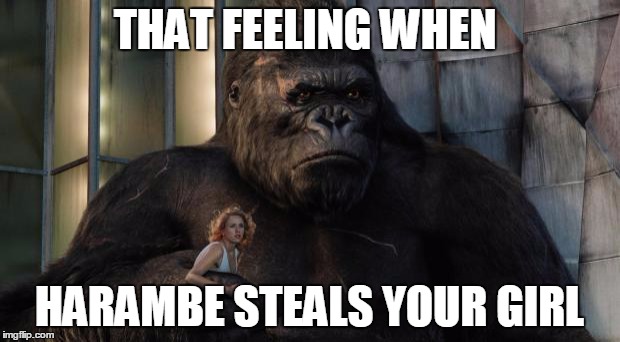 King kong | THAT FEELING WHEN; HARAMBE STEALS YOUR GIRL | image tagged in king kong,harambe | made w/ Imgflip meme maker