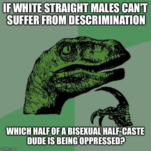 Philosoraptor | IF WHITE STRAIGHT MALES CAN'T SUFFER FROM DESCRIMINATION; WHICH HALF OF A BISEXUAL HALF-CASTE DUDE IS BEING OPPRESSED? | image tagged in memes,philosoraptor | made w/ Imgflip meme maker