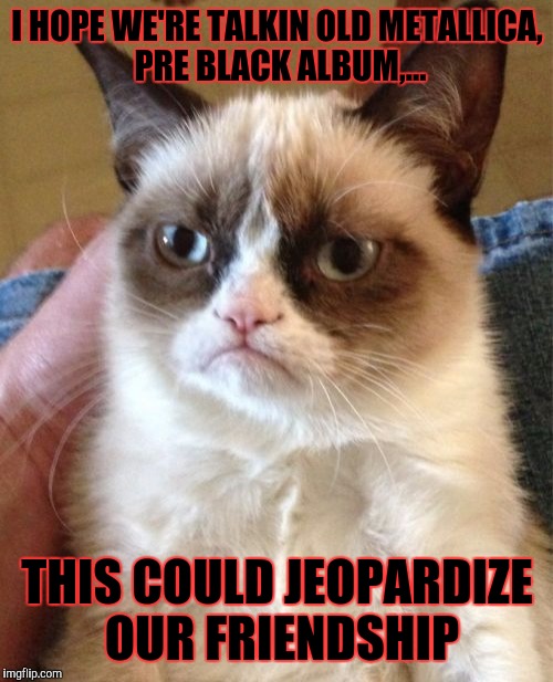 Grumpy Cat Meme | I HOPE WE'RE TALKIN OLD METALLICA, PRE BLACK ALBUM,... THIS COULD JEOPARDIZE OUR FRIENDSHIP | image tagged in memes,grumpy cat | made w/ Imgflip meme maker