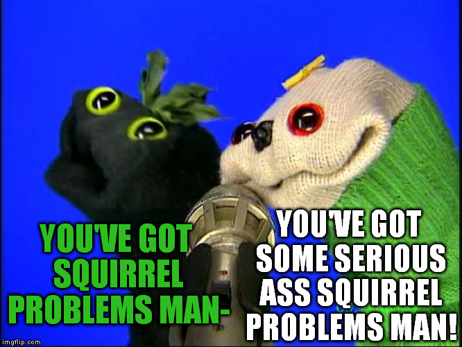 Squirrel Zapper! | YOU'VE GOT SOME SERIOUS ASS SQUIRREL PROBLEMS MAN! YOU'VE GOT SQUIRREL PROBLEMS MAN- | image tagged in sifl and olly serious ass problems,memes | made w/ Imgflip meme maker