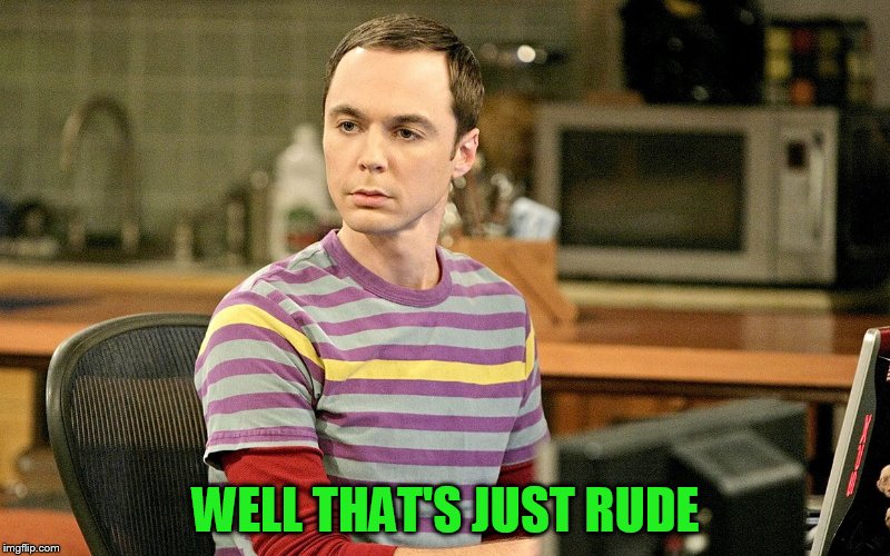 WELL THAT'S JUST RUDE | image tagged in sheldon 1 | made w/ Imgflip meme maker