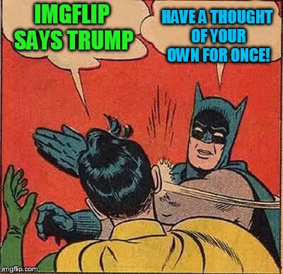 Batman Slapping Robin Meme | IMGFLIP SAYS TRUMP HAVE A THOUGHT OF YOUR OWN FOR ONCE! | image tagged in memes,batman slapping robin | made w/ Imgflip meme maker