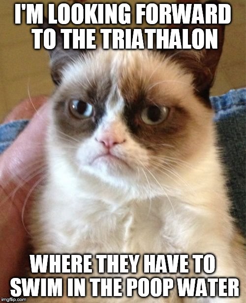 Grumpy Cat Meme | I'M LOOKING FORWARD TO THE TRIATHALON WHERE THEY HAVE TO SWIM IN THE POOP WATER | image tagged in memes,grumpy cat | made w/ Imgflip meme maker