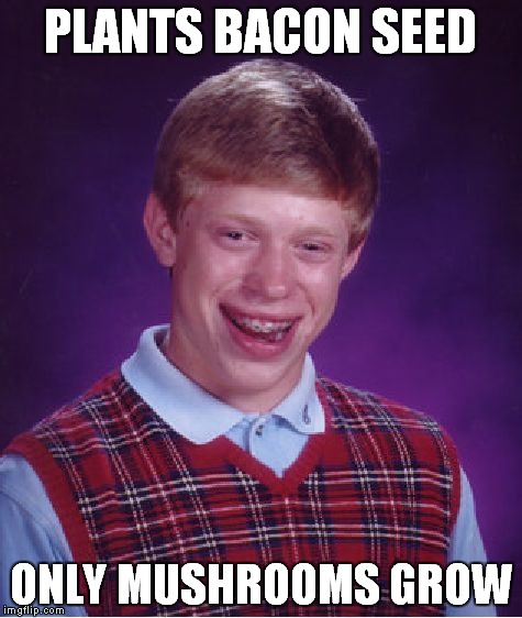 Bad Luck Brian Meme | PLANTS BACON SEED ONLY MUSHROOMS GROW | image tagged in memes,bad luck brian | made w/ Imgflip meme maker