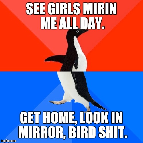Socially Awesome Awkward Penguin | SEE GIRLS MIRIN ME ALL DAY. GET HOME, LOOK IN MIRROR, BIRD SHIT. | image tagged in memes,socially awesome awkward penguin,AdviceAnimals | made w/ Imgflip meme maker