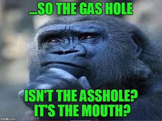 ...SO THE GAS HOLE ISN'T THE ASSHOLE? IT'S THE MOUTH? | made w/ Imgflip meme maker