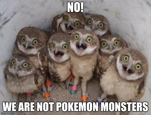The Case of Mistaken Identity | NO! WE ARE NOT POKEMON MONSTERS | image tagged in surprised ownls,pokemon go | made w/ Imgflip meme maker