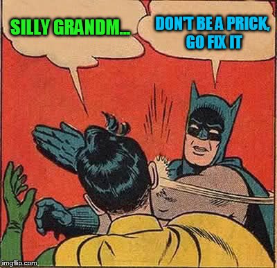 Batman Slapping Robin Meme | SILLY GRANDM... DON'T BE A PRICK, GO FIX IT | image tagged in memes,batman slapping robin | made w/ Imgflip meme maker