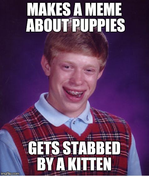Bad Luck Brian Meme | MAKES A MEME ABOUT PUPPIES GETS STABBED BY A KITTEN | image tagged in memes,bad luck brian | made w/ Imgflip meme maker