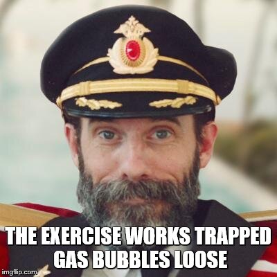 Captain Obvious | THE EXERCISE WORKS TRAPPED GAS BUBBLES LOOSE | image tagged in captain obvious | made w/ Imgflip meme maker
