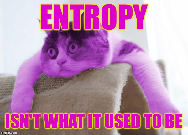 RayCat Stare | ENTROPY; ISN'T WHAT IT USED TO BE | image tagged in raycat stare,memes | made w/ Imgflip meme maker