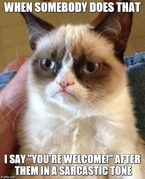 Grumpy Cat Meme | WHEN SOMEBODY DOES THAT I SAY "YOU'RE WELCOME!" AFTER THEM IN A SARCASTIC TONE | image tagged in memes,grumpy cat | made w/ Imgflip meme maker