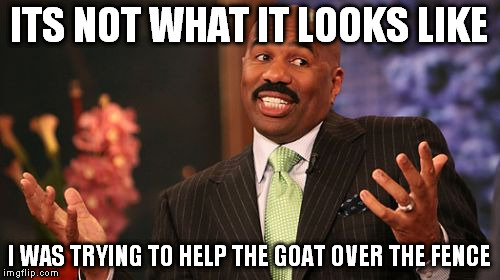 Steve Harvey Meme | ITS NOT WHAT IT LOOKS LIKE I WAS TRYING TO HELP THE GOAT OVER THE FENCE | image tagged in memes,steve harvey | made w/ Imgflip meme maker