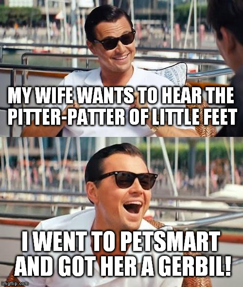 Leonardo Dicaprio Wolf Of Wall Street Meme | MY WIFE WANTS TO HEAR THE PITTER-PATTER OF LITTLE FEET; I WENT TO PETSMART AND GOT HER A GERBIL! | image tagged in memes,leonardo dicaprio wolf of wall street | made w/ Imgflip meme maker