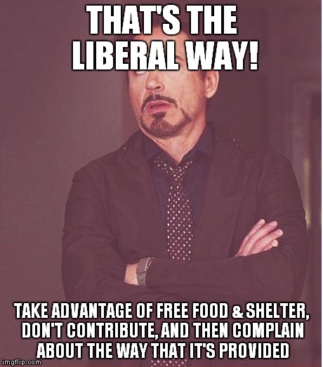 Face You Make Robert Downey Jr Meme | THAT'S THE LIBERAL WAY! TAKE ADVANTAGE OF FREE FOOD & SHELTER, DON'T CONTRIBUTE, AND THEN COMPLAIN ABOUT THE WAY THAT IT'S PROVIDED | image tagged in memes,face you make robert downey jr | made w/ Imgflip meme maker