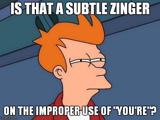 Futurama Fry Meme | IS THAT A SUBTLE ZINGER ON THE IMPROPER USE OF "YOU'RE"? | image tagged in memes,futurama fry | made w/ Imgflip meme maker
