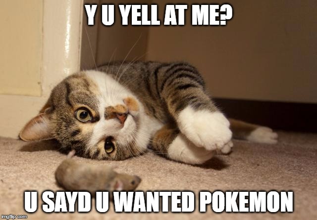 Y U YELL AT ME? U SAYD U WANTED POKEMON | image tagged in pokemon go,cat,gotta catch em all | made w/ Imgflip meme maker