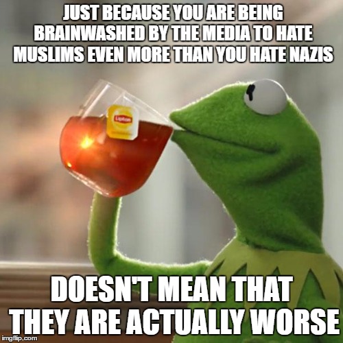 But That's None Of My Business | JUST BECAUSE YOU ARE BEING BRAINWASHED BY THE MEDIA TO HATE MUSLIMS EVEN MORE THAN YOU HATE NAZIS; DOESN'T MEAN THAT THEY ARE ACTUALLY WORSE | image tagged in memes,but thats none of my business,kermit the frog,muslims,hate,nazis | made w/ Imgflip meme maker