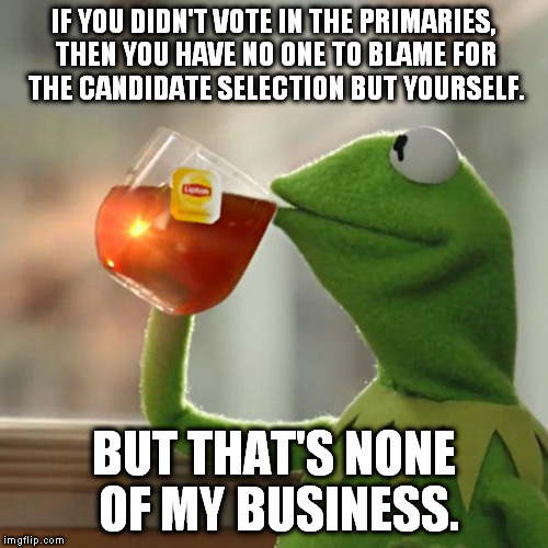 But That's None Of My Business Meme | IF YOU DIDN'T VOTE IN THE PRIMARIES, THEN YOU HAVE NO ONE TO BLAME FOR THE CANDIDATE SELECTION BUT YOURSELF. BUT THAT'S NONE OF MY BUSINESS. | image tagged in memes,but thats none of my business,kermit the frog | made w/ Imgflip meme maker