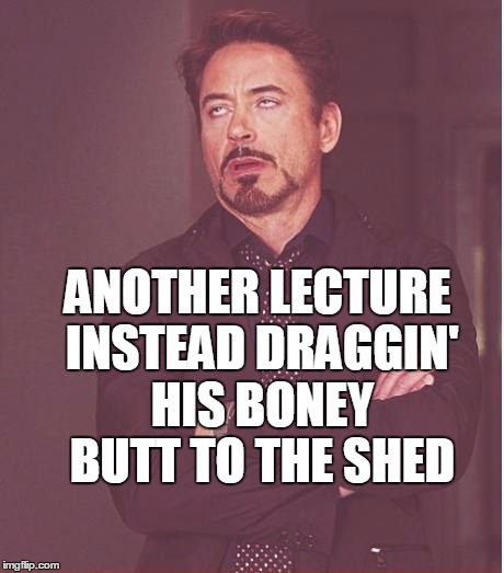 Face You Make Robert Downey Jr Meme | ANOTHER LECTURE INSTEAD DRAGGIN' HIS BONEY BUTT TO THE SHED | image tagged in memes,face you make robert downey jr | made w/ Imgflip meme maker
