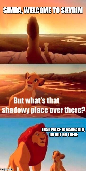 Simba Shadowy Place | SIMBA, WELCOME TO SKYRIM; THAT PLACE IS MARKARTH, DO NOT GO THERE | image tagged in memes,simba shadowy place | made w/ Imgflip meme maker