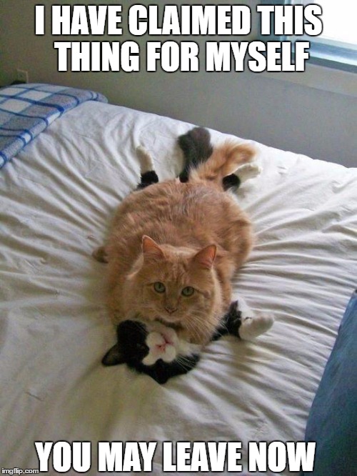 funny cats | I HAVE CLAIMED THIS THING FOR MYSELF; YOU MAY LEAVE NOW | image tagged in funny cats | made w/ Imgflip meme maker