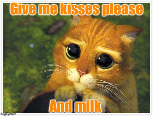 Shrek Cat | Give me kisses please; And milk | image tagged in memes,shrek cat | made w/ Imgflip meme maker