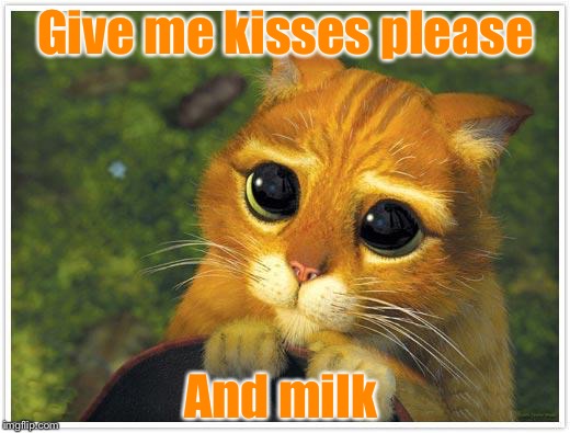 Shrek Cat Meme | Give me kisses please; And milk | image tagged in memes,shrek cat | made w/ Imgflip meme maker