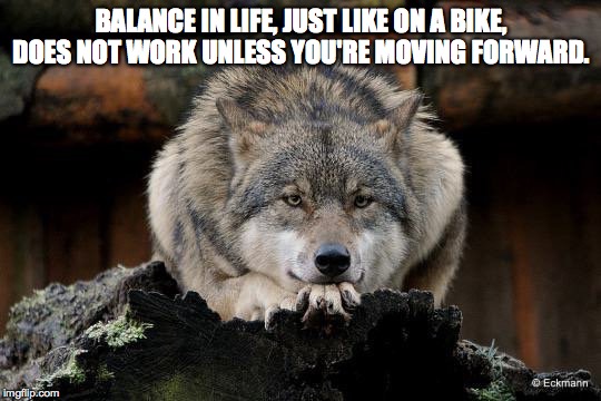 BALANCE IN LIFE, JUST LIKE ON A BIKE, DOES NOT WORK UNLESS YOU'RE MOVING FORWARD. | image tagged in wolf | made w/ Imgflip meme maker