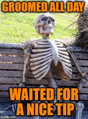 Waiting Skeleton Meme | GROOMED ALL DAY; WAITED FOR A NICE TIP | image tagged in memes,waiting skeleton | made w/ Imgflip meme maker