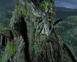 Treebeard  Blank Meme Template