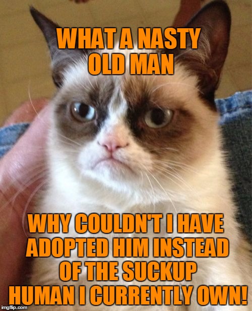 Grumpy Cat Meme | WHAT A NASTY OLD MAN WHY COULDN'T I HAVE ADOPTED HIM INSTEAD OF THE SUCKUP HUMAN I CURRENTLY OWN! | image tagged in memes,grumpy cat | made w/ Imgflip meme maker