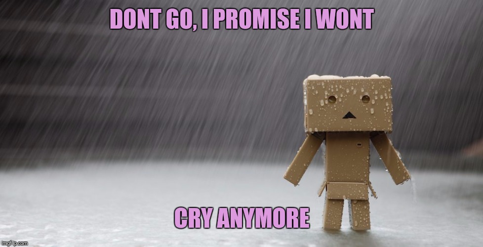 DONT GO, I PROMISE I WONT CRY ANYMORE | made w/ Imgflip meme maker