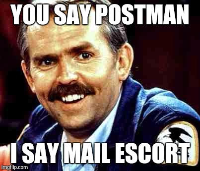 mailman | YOU SAY POSTMAN; I SAY MAIL ESCORT | image tagged in mailman | made w/ Imgflip meme maker