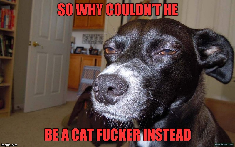 SO WHY COULDN'T HE BE A CAT F**KER INSTEAD | made w/ Imgflip meme maker