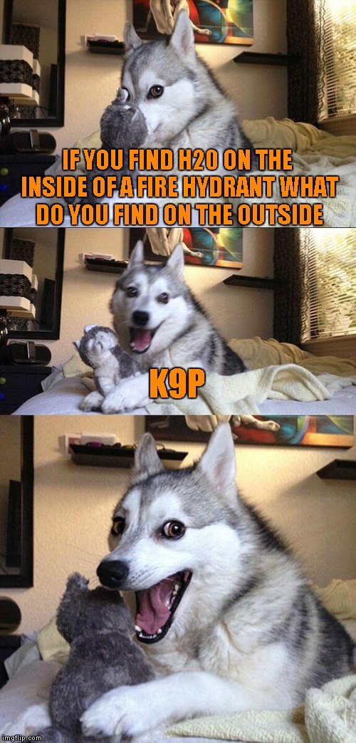 Bad Pun Dog | IF YOU FIND H20 ON THE INSIDE OF A FIRE HYDRANT WHAT DO YOU FIND ON THE OUTSIDE; K9P | image tagged in memes,bad pun dog | made w/ Imgflip meme maker