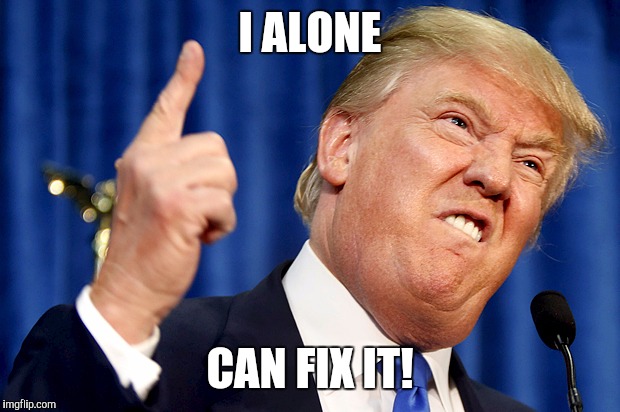 Donald Trump | I ALONE; CAN FIX IT! | image tagged in donald trump | made w/ Imgflip meme maker