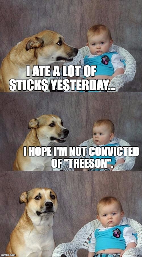 Dad Joke Dog Meme | I ATE A LOT OF STICKS YESTERDAY... I HOPE I'M NOT CONVICTED OF "TREESON". | image tagged in memes,dad joke dog | made w/ Imgflip meme maker