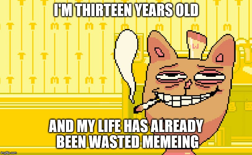 I'M THIRTEEN YEARS OLD AND MY LIFE HAS ALREADY BEEN WASTED MEMEING | made w/ Imgflip meme maker