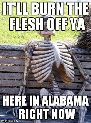 Waiting Skeleton Meme | IT'LL BURN THE FLESH OFF YA HERE IN ALABAMA RIGHT NOW | image tagged in memes,waiting skeleton | made w/ Imgflip meme maker