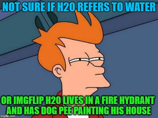 Futurama Fry Meme | NOT SURE IF H20 REFERS TO WATER OR IMGFLIP H20 LIVES IN A FIRE HYDRANT AND HAS DOG PEE PAINTING HIS HOUSE | image tagged in memes,futurama fry | made w/ Imgflip meme maker
