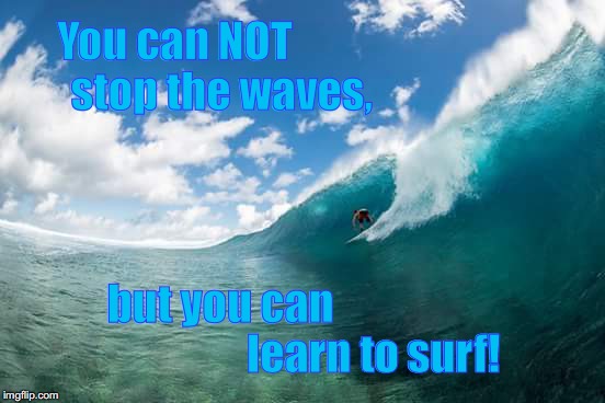 Catch waves not pokemon | You can NOT            stop the waves, but you can                                    learn to surf! | image tagged in catch waves not pokemon | made w/ Imgflip meme maker