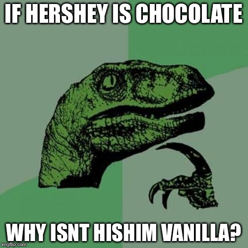 Philosoraptor | IF HERSHEY IS CHOCOLATE; WHY ISNT HISHIM VANILLA? | image tagged in memes,philosoraptor | made w/ Imgflip meme maker